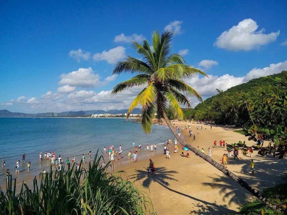 海南自贸港绿色低碳发展加速,开启未来可持续发展新篇章