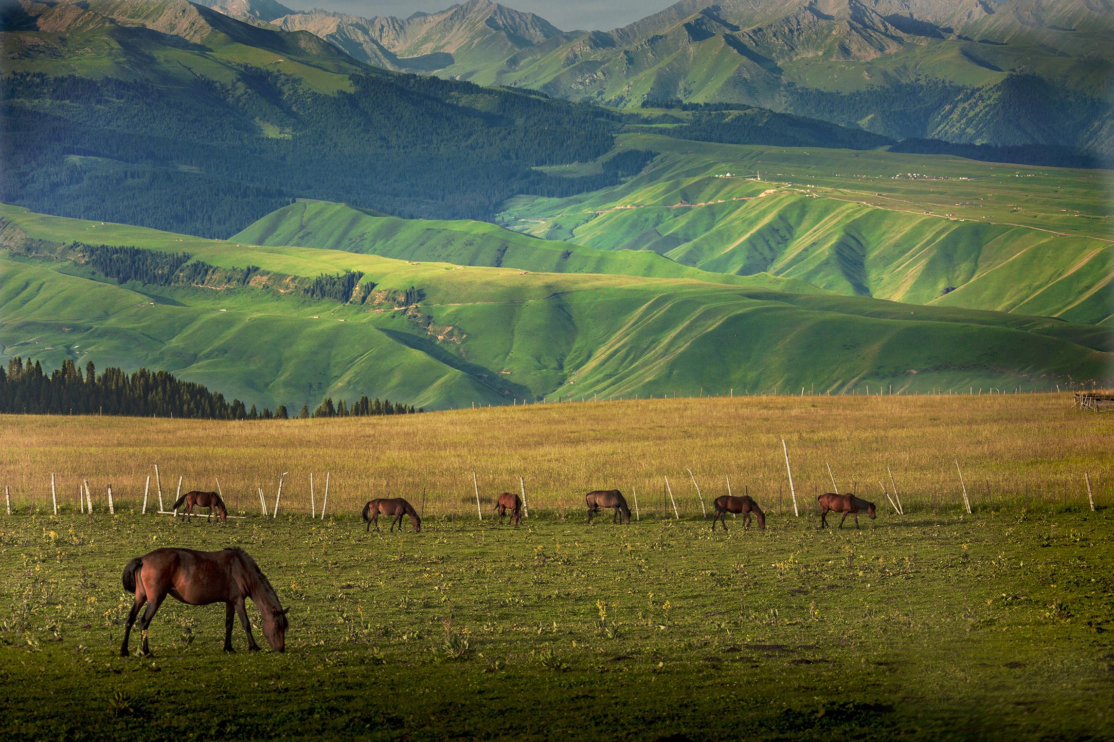 新疆，自然与人文的深情交响