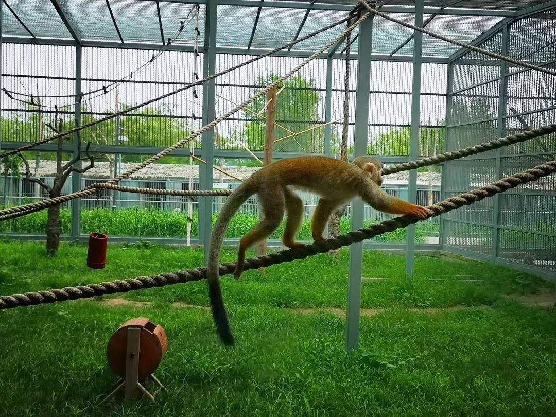 沧州，历史、文化与地理的交融之地